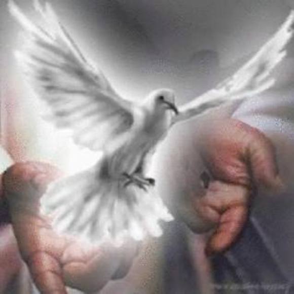 Meet your Posher, Maria - Picture 1 of 1